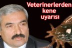 Veterinerlerden kene uyarısı