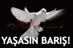 YAŞASIN BARIŞ!