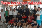 Yavru horoz can yakacak