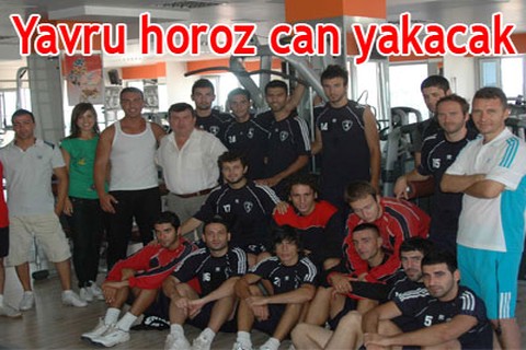 Yavru horoz can yakacak
