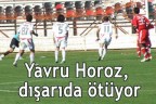 Yavru Horoz, dışarıda ötüyor