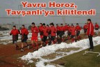 Yavru Horoz, Tavşanlı’ya kilitlendi