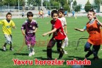 Yavru horozlar sahada