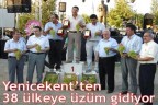 Yenicekent’ten 38 ülkeye üzüm gidiyor