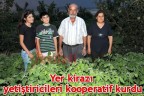 Yer kirazı yetiştiricileri kooperatif kurdu
