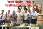 Yerli üzüm ırkları festivalle tanıtılacak
