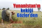 Yunanistan’ın kekiği Gözler’den