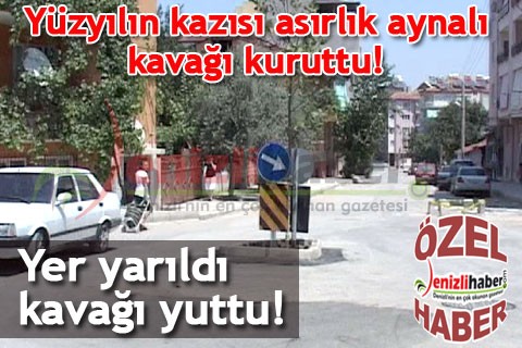 Yüzyılın kazısı asırlık aynalı kavağı kuruttu!