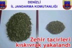 Zehir tacirleri yakalandı