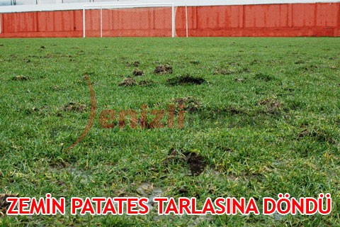 ZEMİN PATATES TARLASINA DÖNDÜ
