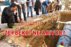 ZEYBEKCİ NE ARIYOR?