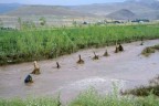 Denizli’de yağmurun bilançosu ağır