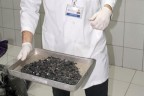 Belediyeden kaçak kömüre geçit yok