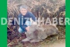 Soğuktan donan geyiği ölümden kurtardılar