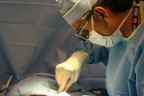 Organ mafyası operasyonu Denizli’ye de sıçradı
