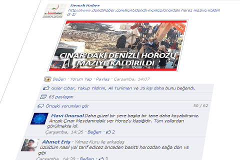 Denizli, Çınar’daki horoza kitlendi