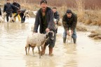 Denizli’de yağış hayatı felç etti