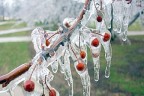 Meteoroloji’den don uyarısı