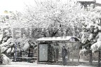 Denizli’de okullara kar tatili