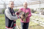 Yaralı doğan tedavi edildi