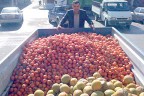 Donan meyve ve sebzeler imha edildi