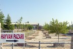 Hayvan pazarı salı açılıyor