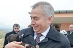 Sokak hayvanları emin ellerde