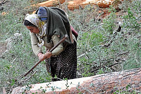Bugün Dünya Kadınlar Günü