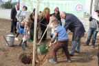 100 bin fidan toprakla buluşacak