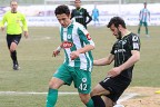 Horoz kendi sahasında kral