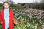 Savaşın laleleri barış içinde açıyor