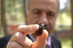 Terminatör böcekleri görev başında