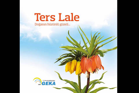 Ters Lale’yi kitaplaştırdılar