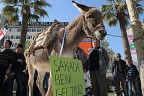 YGS’yi eşekle protesto ettiler