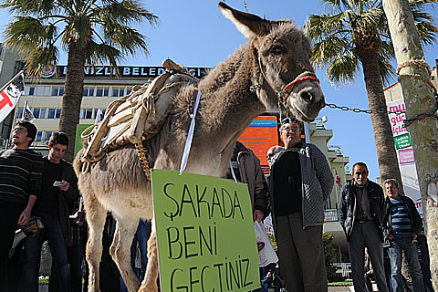 YGS’yi eşekle protesto ettiler