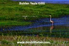 Buldan Yayla Gölü’nün büyüleyici güzelliği