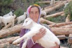 Çobanlık yaparak üç çocuğunu okutuyor