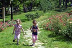 Denizli rengârenk çiçek açtı