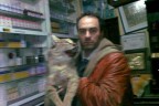 Vaşak derisi yüzen veterinere para cezası