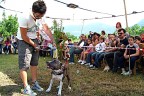 Denizli’nin en güzel köpekleri seçildi