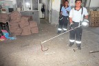 Mutfakta yılan operasyonu