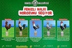 Ankette cam horoz önde gidiyor