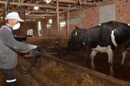Denizli Belediyesi karasineklere savaş açtı