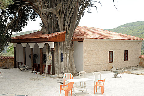Sarıbaba Türbesi restore ediliyor