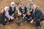 Üzüm üreticilerine kötü haber