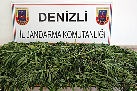 Jandarma’dan uyuşturucu operasyonu