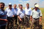 Beyağaç ve Sarayköy’de zarar 15 milyon TL