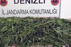 Jandarma’dan uyuşturucu operasyonu