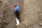 Denizli İtfaiyesi uçurumdan keçi kurtardı