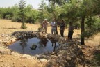 Ardıç kuşları için 450 havuz